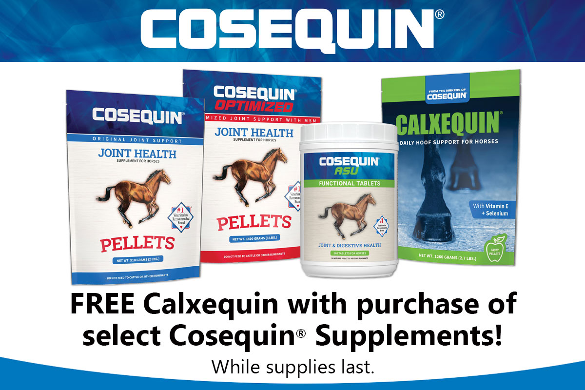 Free Calxequin with purchase of select Cosequin Supplements - Shop Now