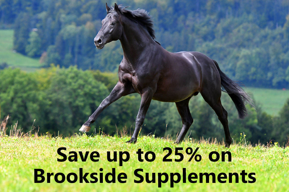 Save up to 25% on Brookside Supplements - Shop Now