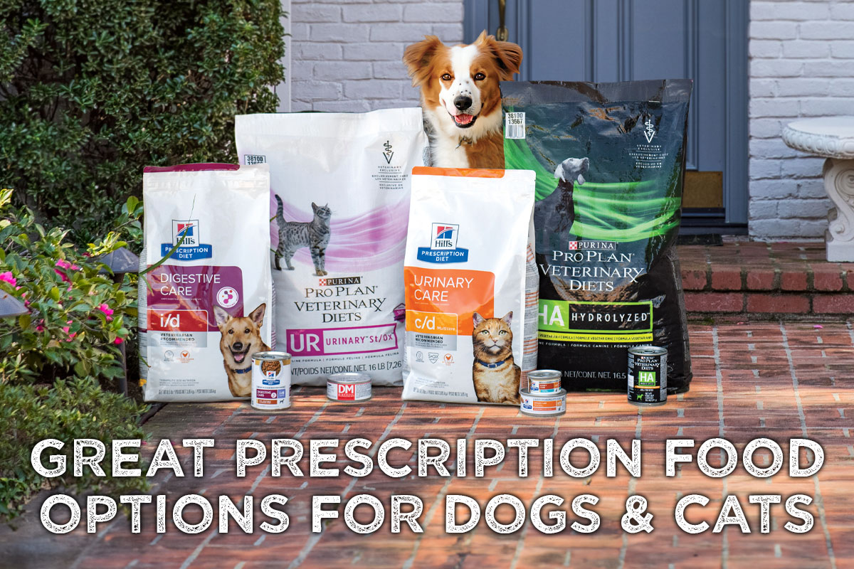 Great Prescription Food Options For Dogs & Cats - Shop Now