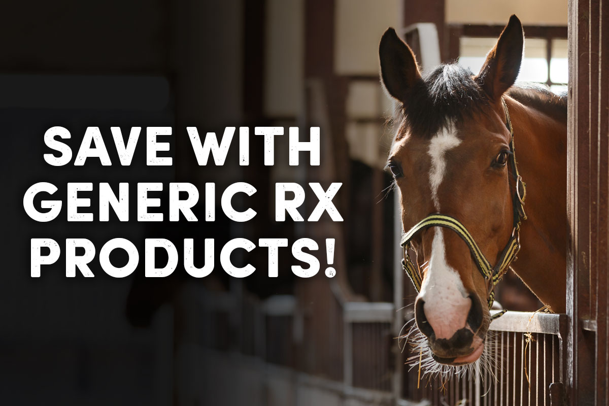 Save with Generic Rx products - Shop Now