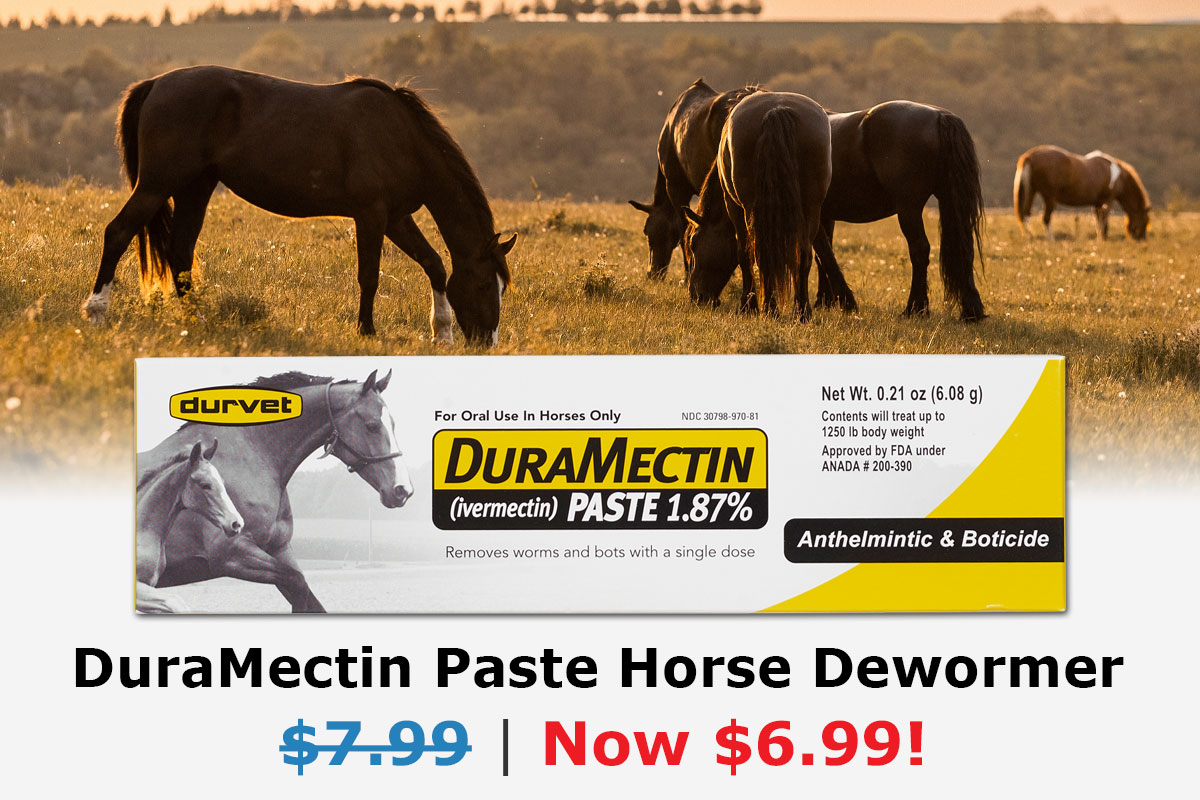 DuraMectin Paste Horse Dewormer Now $6.99 (44600)