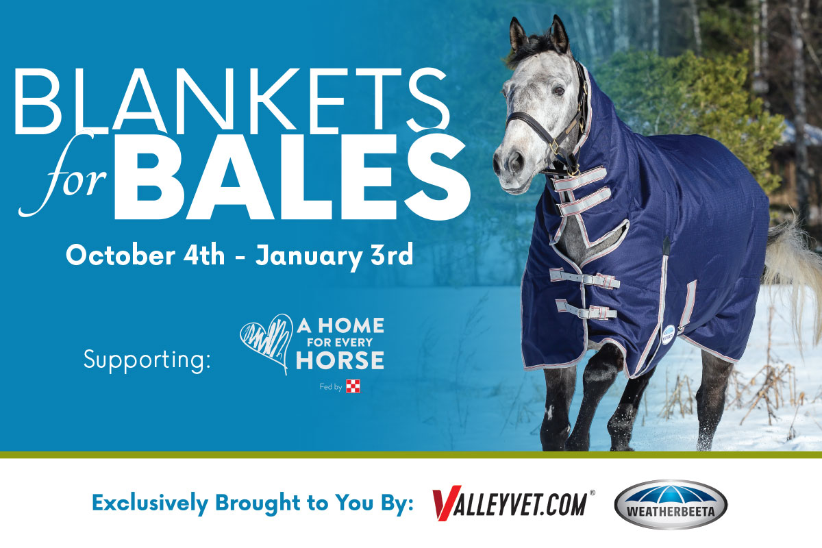 Blankets for Bales Program - Shop Now