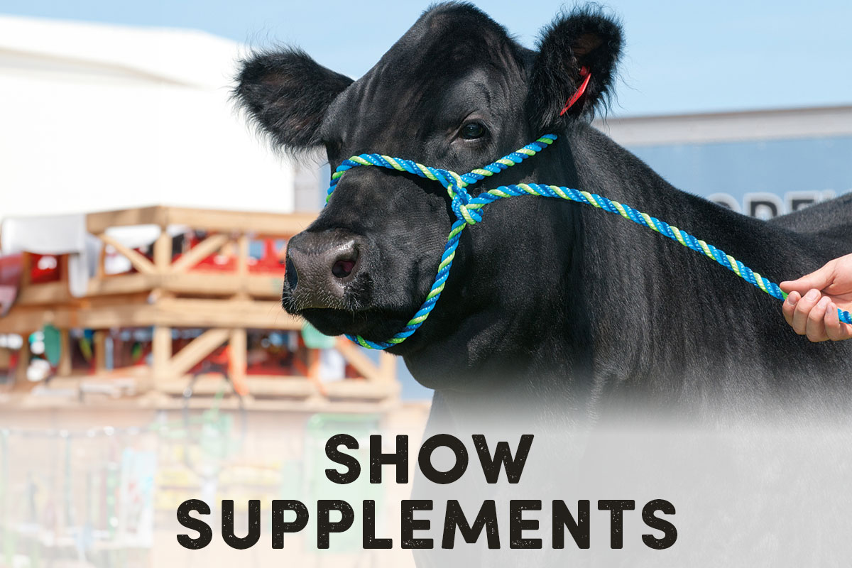 Show Supplements - Shop Now