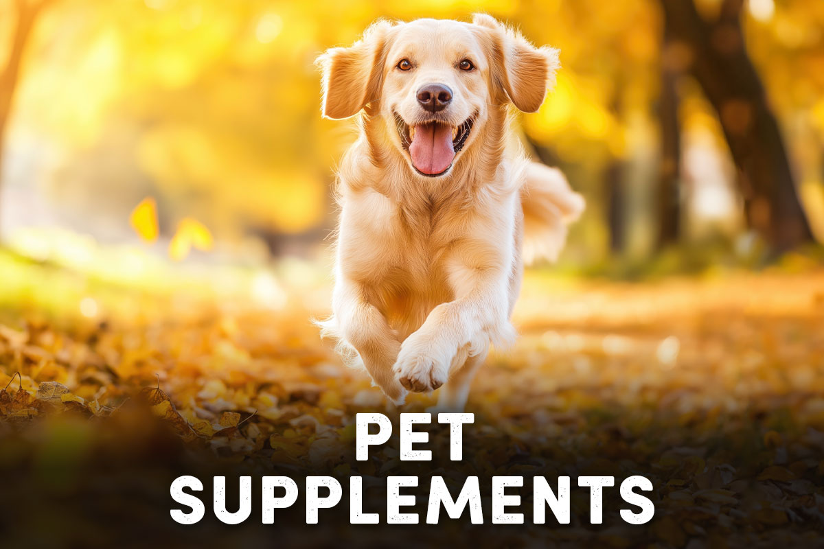 Pet Supplements - Shop Now