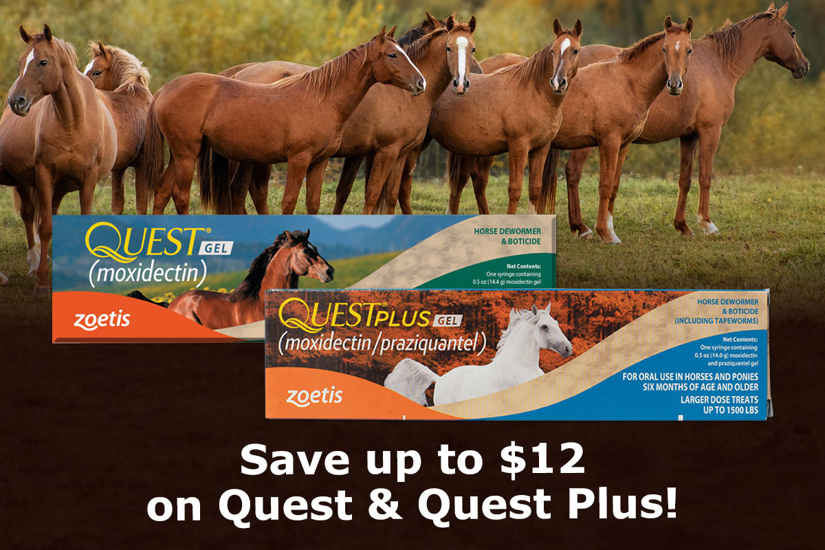 Save up to $12 on Quest & Quest Plus! Shop Now