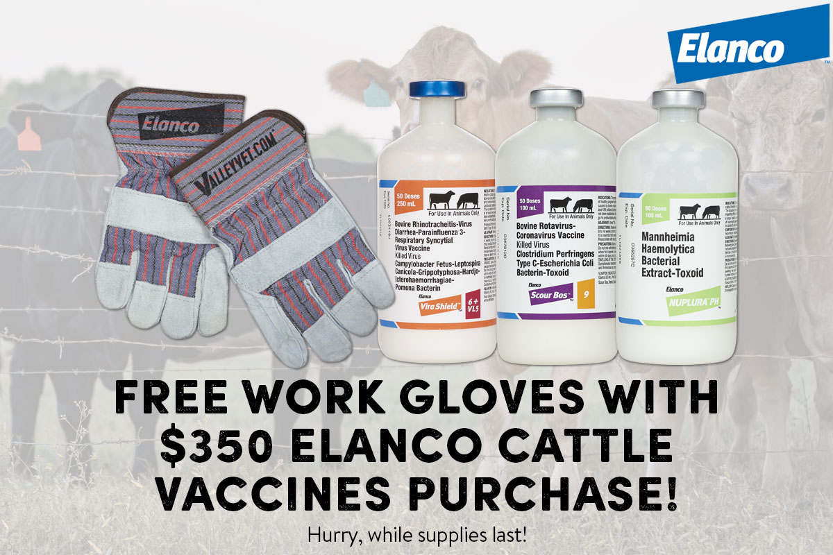 Free Work Gloves with $350 Elanco Cattle Vaccines Purchase!