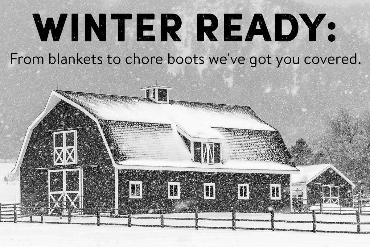 Winter Ready: From blankets to chore boots we've got your covered. Shop Now