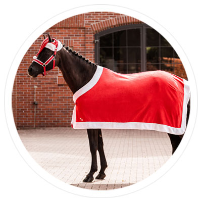 Tis the season for holiday horsewear