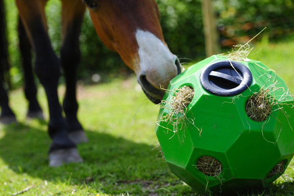 Horse Toys - Shop Now