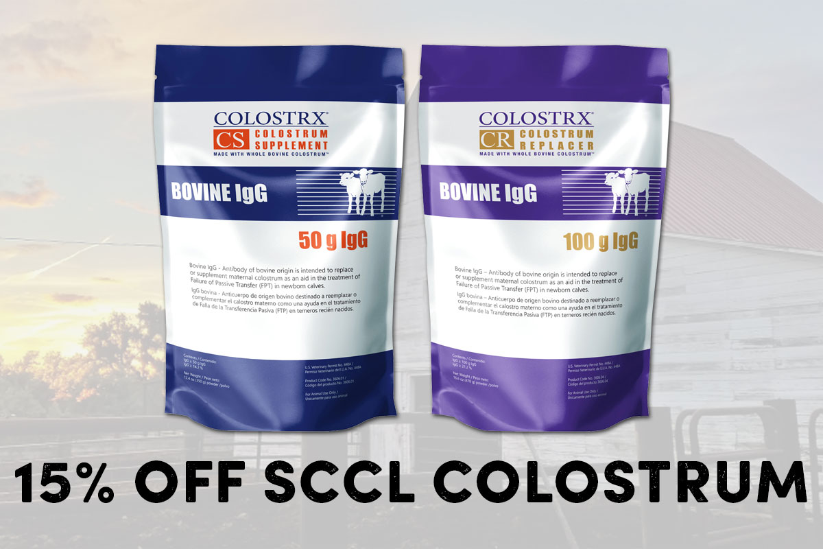 15% Off SCCL Colostrum - Shop Now