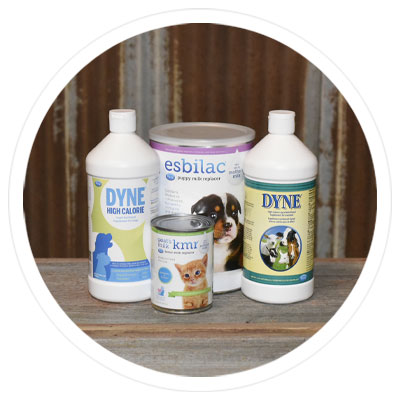 Up to 20% Off Pet Ag Products - Shop Now