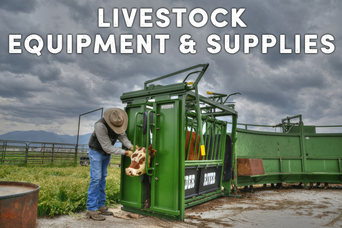 Livestock Equipment & Supplies - Shop Now