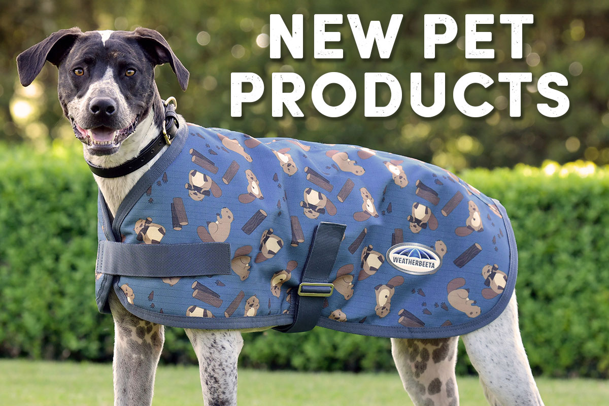 New Pet Products - Shop Now