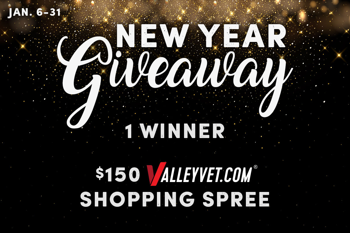 Kick Off the New Year with a $150 Shopping Spree - Enter Now