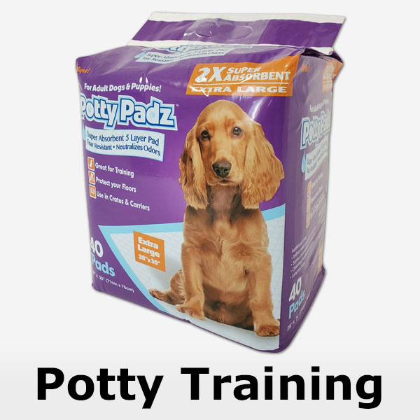 Potty Training - Shop Now