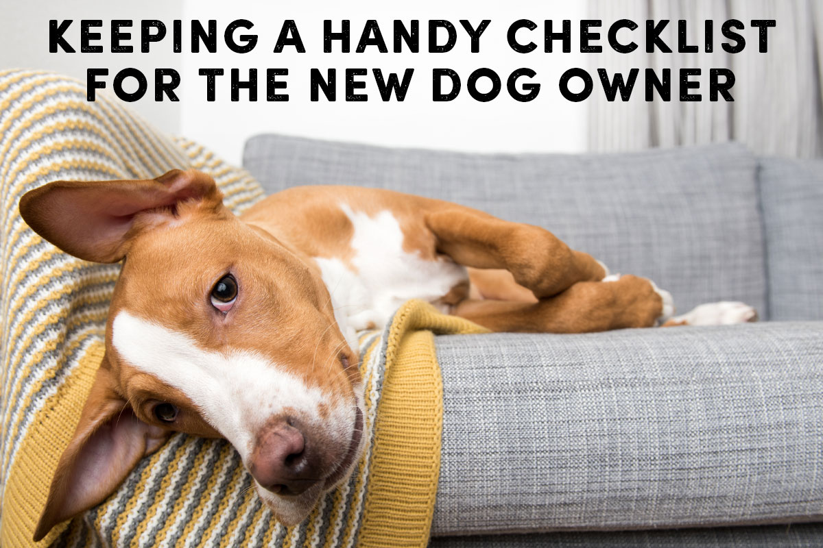 Keeping A Handy Checklist For The Dog Owner - Learn More