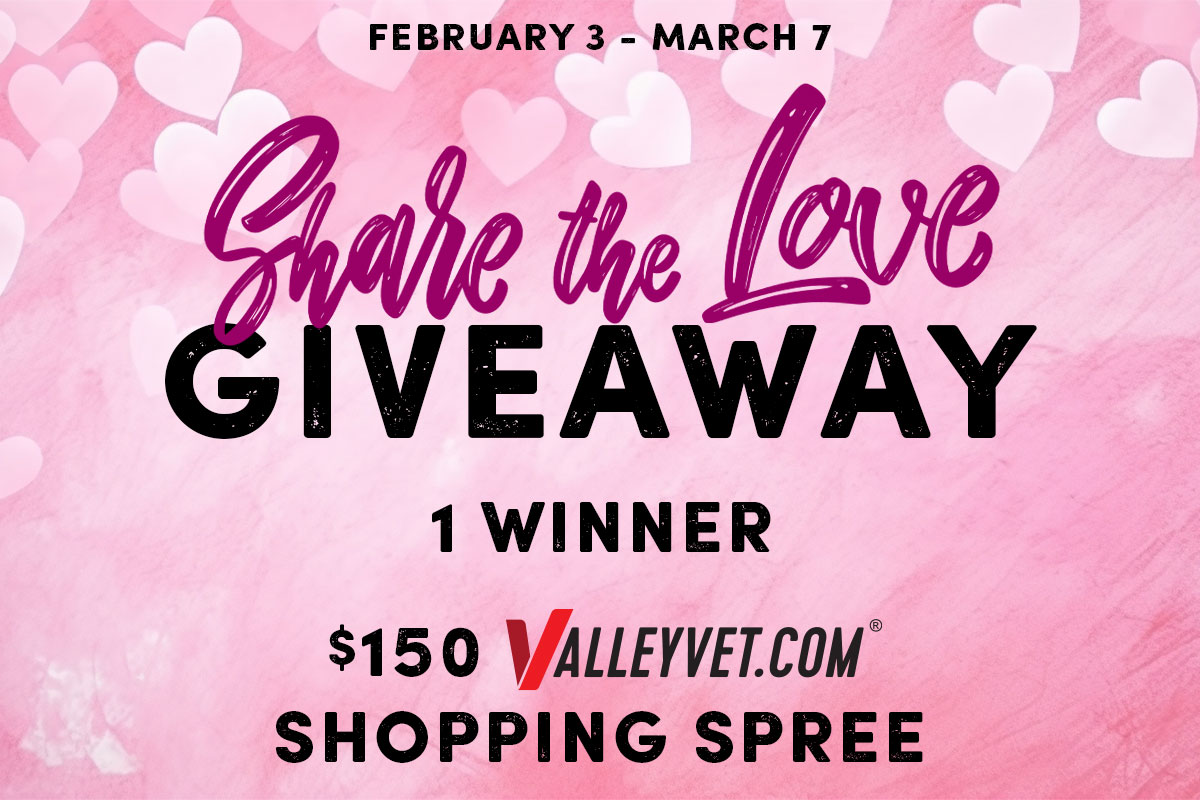 Share the Love with a $150 Shopping Spree - Enter Now