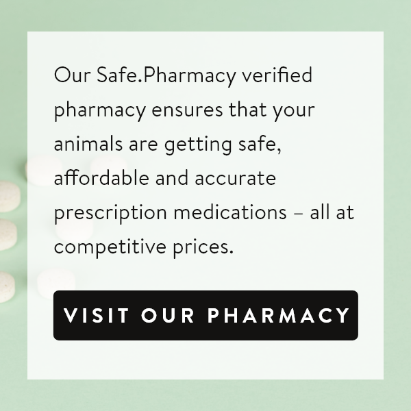 Our Safe.Pharmacy verified pharmacy ensures that your animals are getting safe, affordable and accurate prescription medications – all at competitive prices. | Visit our Pharmacy