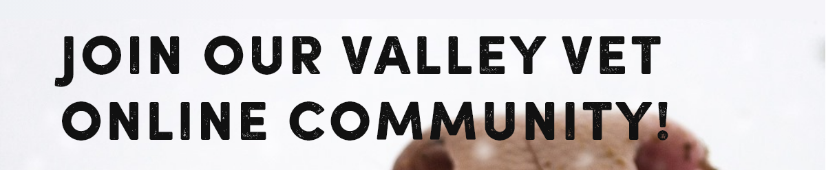 Join our Valley Vet online community!