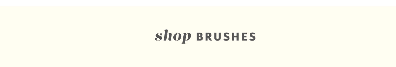 SHOP BRUSHES