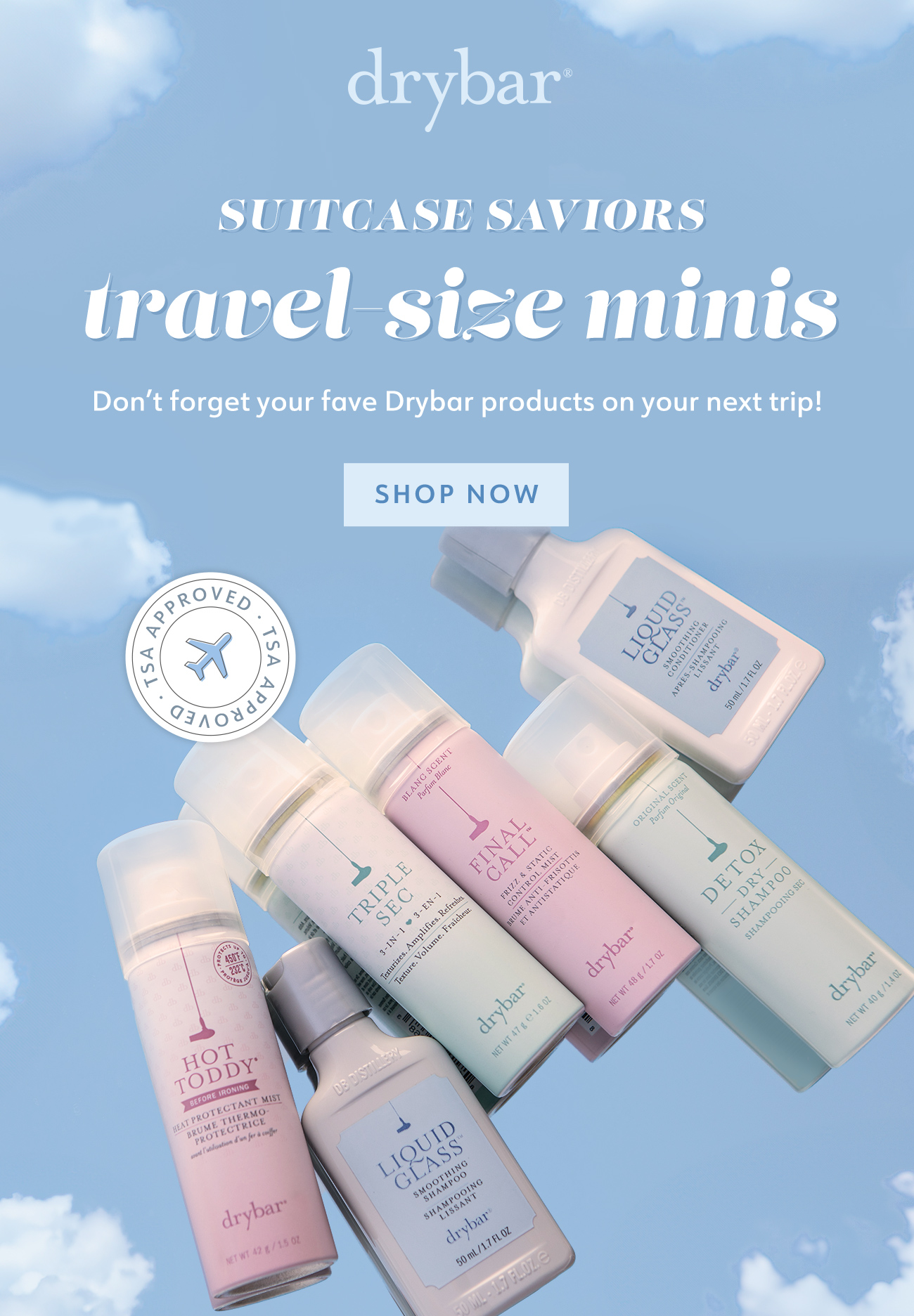 Suitcase Saviors: Travel Size Minis