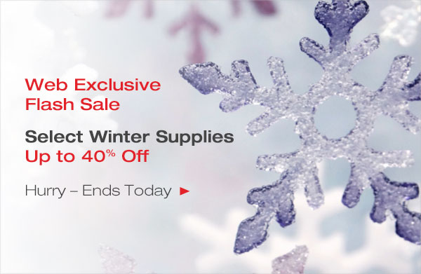 Winter Flash Sale Ends Today
