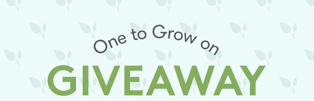 Join our giveaway with over $3,000 worth of products for your little one!