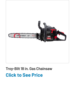 Troy-Bilt TB4218 18 in. Gas Chainsaw