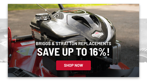 Briggs & Stratton